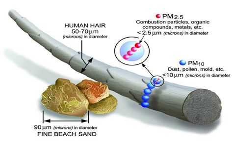 Particulate Matter (PM) Particles Size Comparison with Hair Follicles
